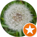 Doreen Yap profile picture