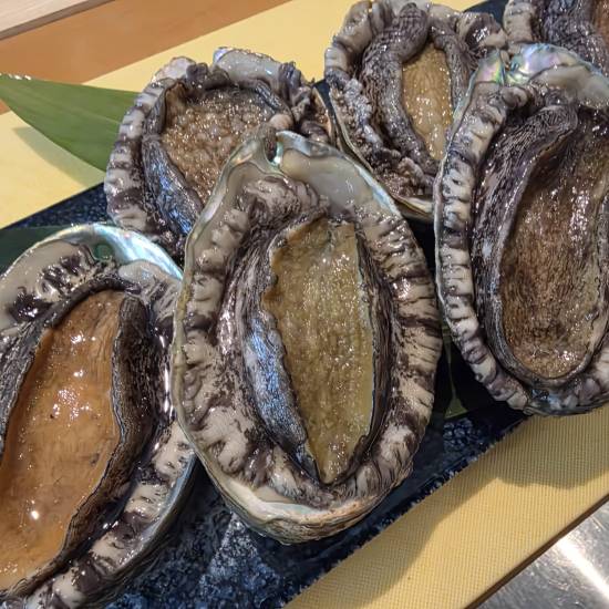 Fresh Abalone imported from Japan